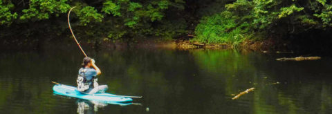 Fishing and SUPing? Why not? We could customize your SUP adventure!